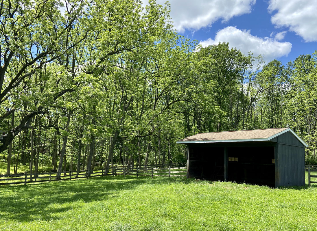 24 b32 Welsh Road -- run in sheds