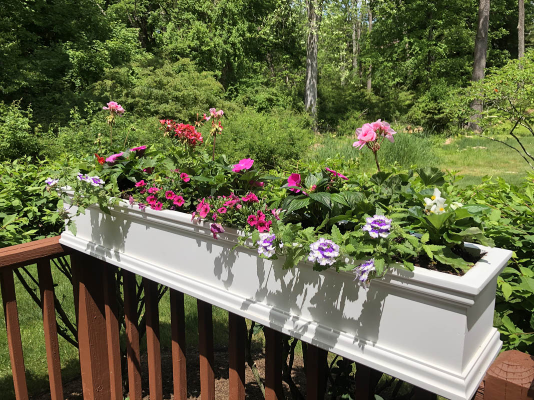 91 501 Lindabury Lane Pottersville Tewksbury Townhip -- flowers on deck railing